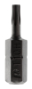    "" Torx Tamper-10  25 (2),  (776-386) ( |  )